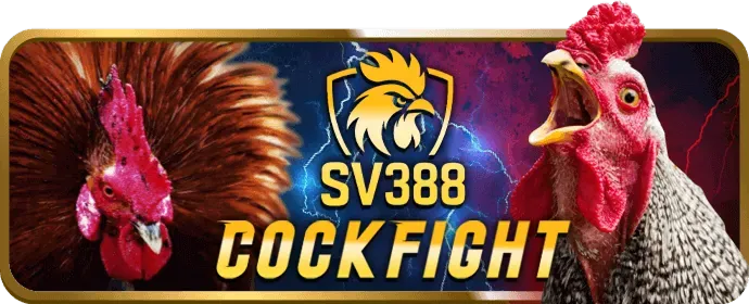 Chương trình hoàn trả hàng ngày vin99 win